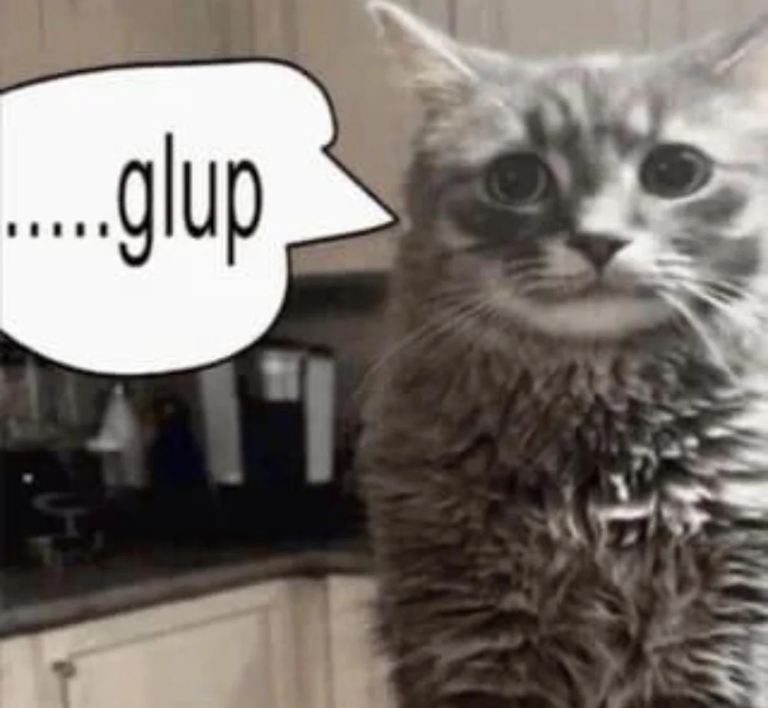Cat asset 10