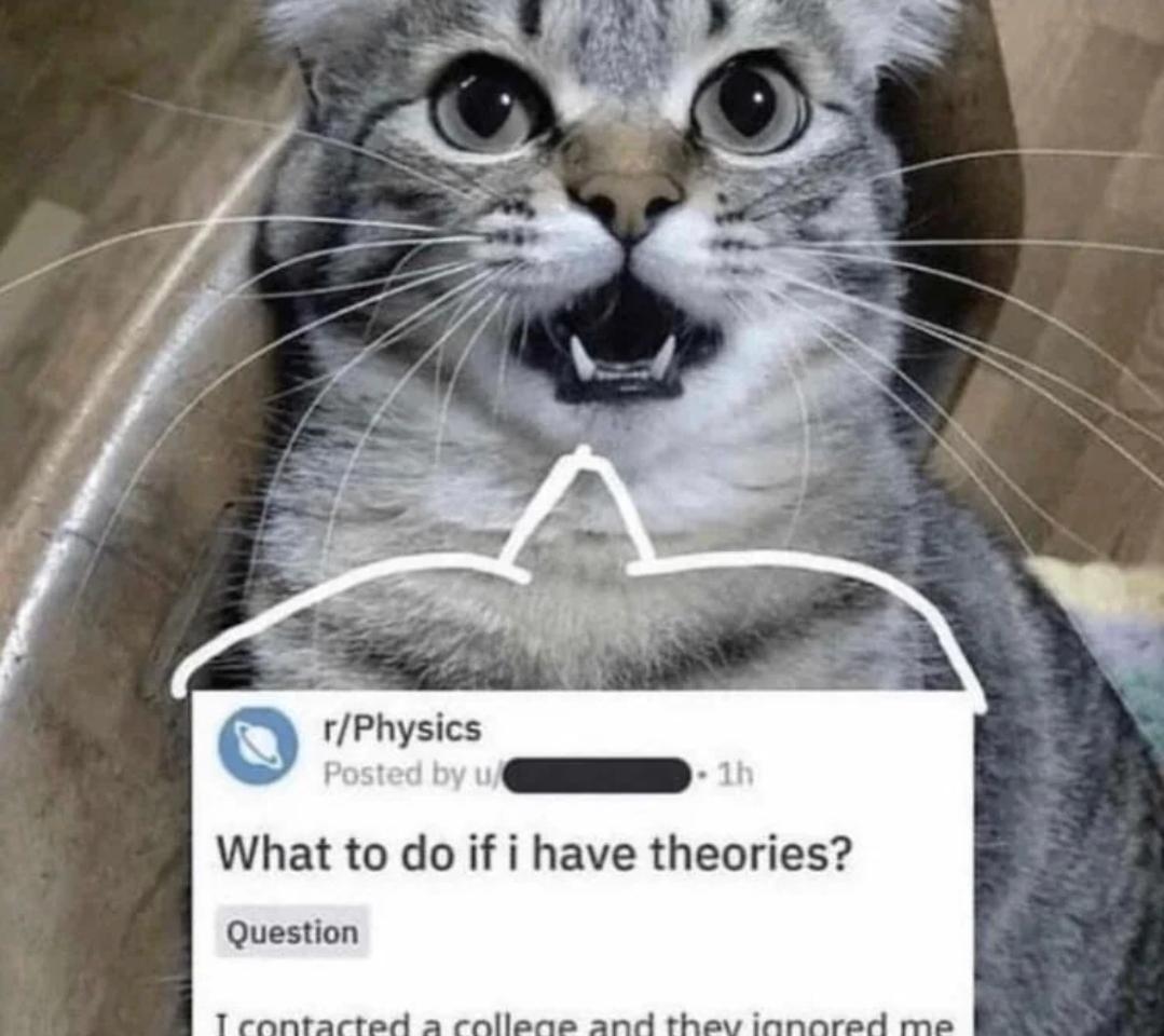 Cat asset 7